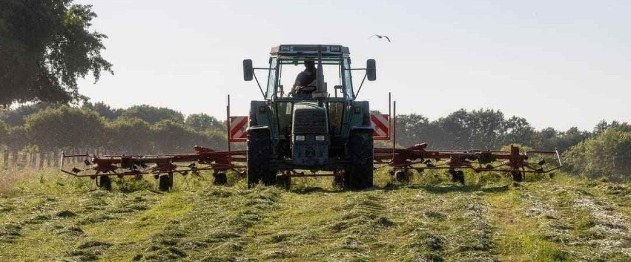 Alianza entre Ficohsa y USAID para impulsar a campesinos hondureños en Consorcio Agrocomercial